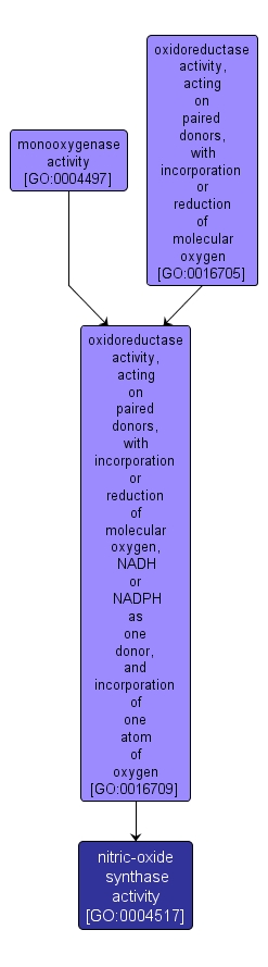 GO:0004517 - nitric-oxide synthase activity (interactive image map)