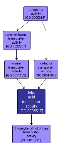 GO:0008517 - folic acid transporter activity (interactive image map)
