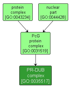 GO:0035517 - PR-DUB complex (interactive image map)