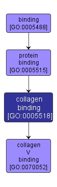 GO:0005518 - collagen binding (interactive image map)