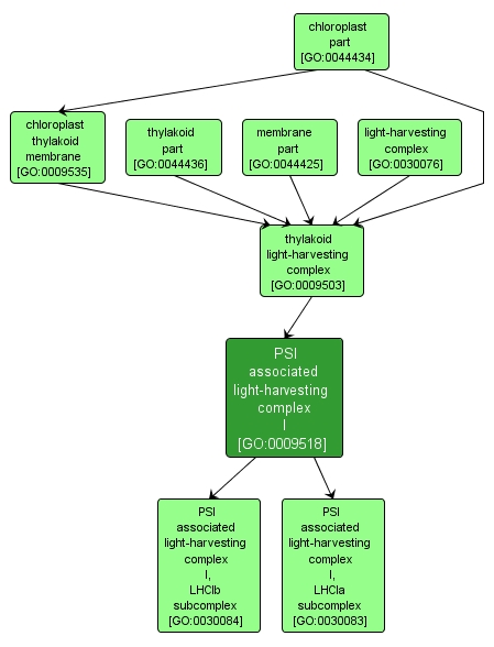 GO:0009518 - PSI associated light-harvesting complex I (interactive image map)