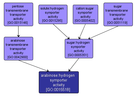 GO:0015518 - arabinose:hydrogen symporter activity (interactive image map)