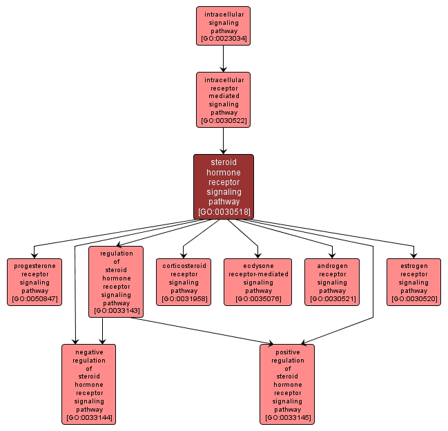 GO:0030518 - steroid hormone receptor signaling pathway (interactive image map)