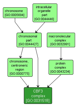 GO:0031518 - CBF3 complex (interactive image map)