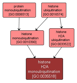 GO:0035518 - histone H2A monoubiquitination (interactive image map)