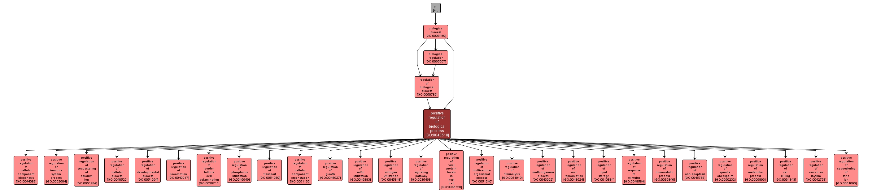 GO:0048518 - positive regulation of biological process (interactive image map)