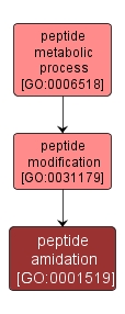 GO:0001519 - peptide amidation (interactive image map)