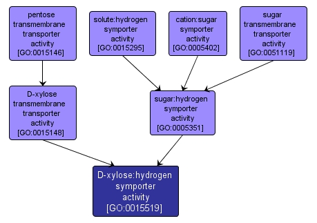 GO:0015519 - D-xylose:hydrogen symporter activity (interactive image map)
