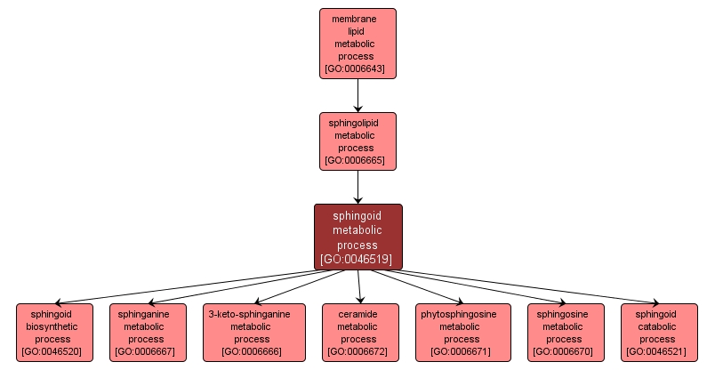 GO:0046519 - sphingoid metabolic process (interactive image map)