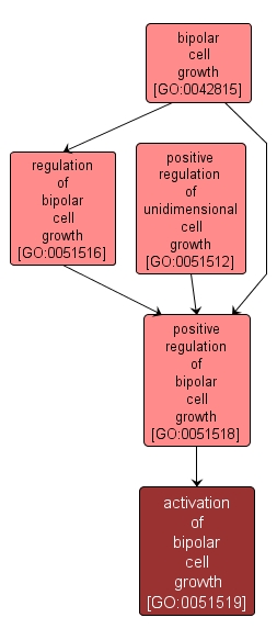 GO:0051519 - activation of bipolar cell growth (interactive image map)