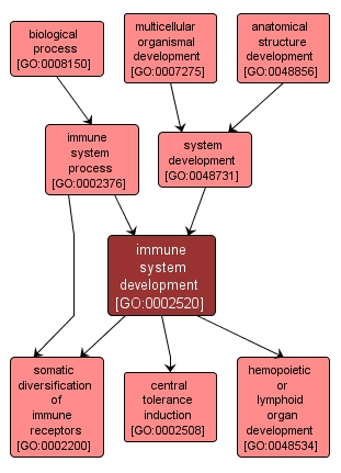 GO:0002520 - immune system development (interactive image map)