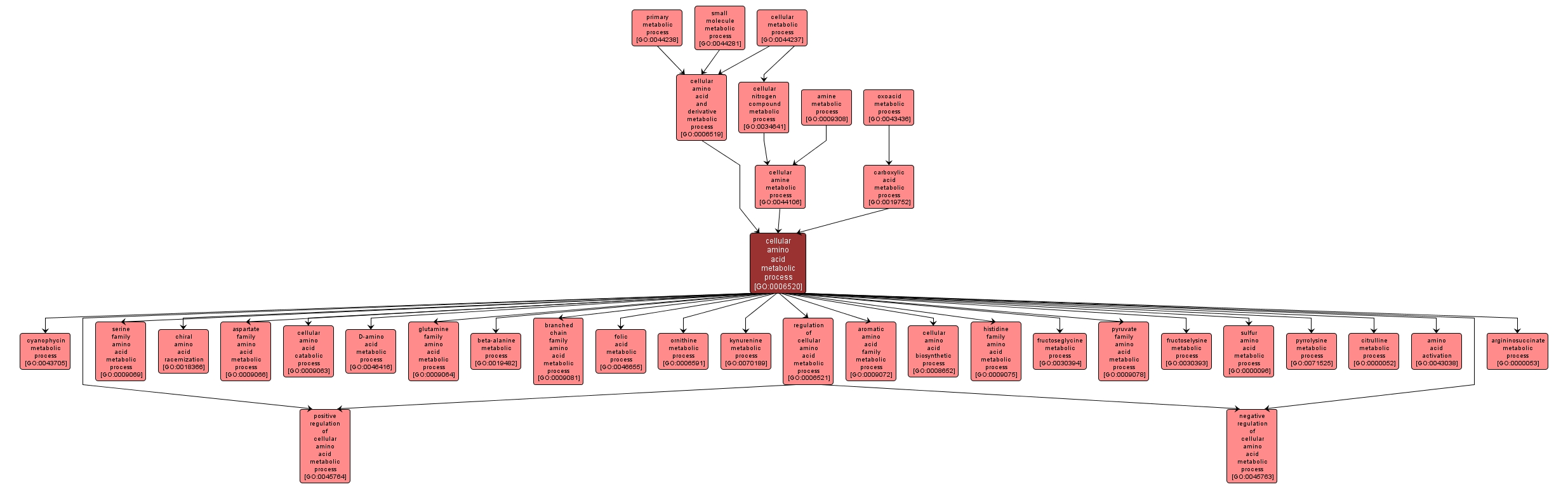 GO:0006520 - cellular amino acid metabolic process (interactive image map)