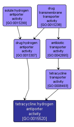 GO:0015520 - tetracycline:hydrogen antiporter activity (interactive image map)