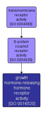 GO:0016520 - growth hormone-releasing hormone receptor activity (interactive image map)