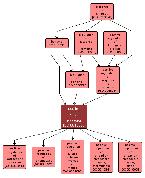 GO:0048520 - positive regulation of behavior (interactive image map)