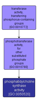 GO:0050520 - phosphatidylcholine synthase activity (interactive image map)