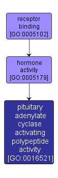 GO:0016521 - pituitary adenylate cyclase activating polypeptide activity (interactive image map)