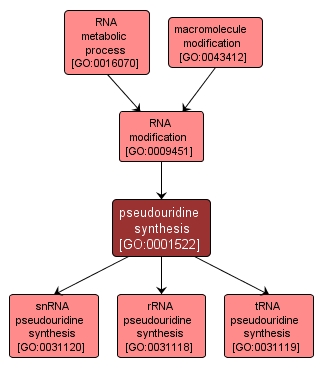 GO:0001522 - pseudouridine synthesis (interactive image map)