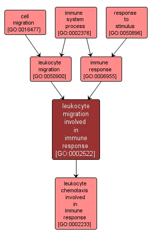GO:0002522 - leukocyte migration involved in immune response (interactive image map)