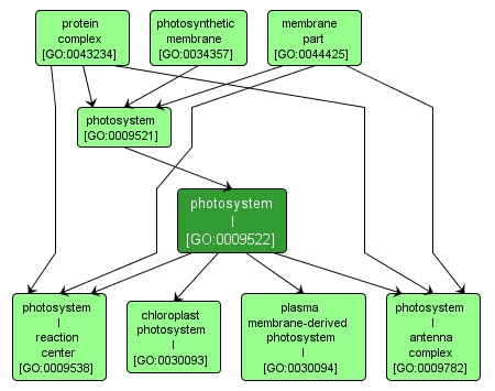 GO:0009522 - photosystem I (interactive image map)