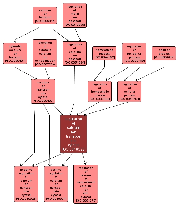 GO:0010522 - regulation of calcium ion transport into cytosol (interactive image map)