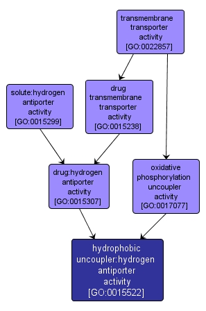 GO:0015522 - hydrophobic uncoupler:hydrogen antiporter activity (interactive image map)
