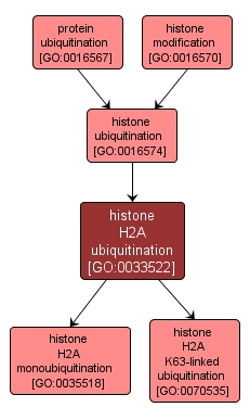 GO:0033522 - histone H2A ubiquitination (interactive image map)