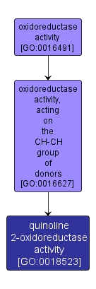 GO:0018523 - quinoline 2-oxidoreductase activity (interactive image map)
