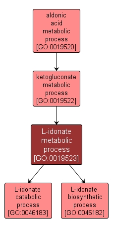 GO:0019523 - L-idonate metabolic process (interactive image map)