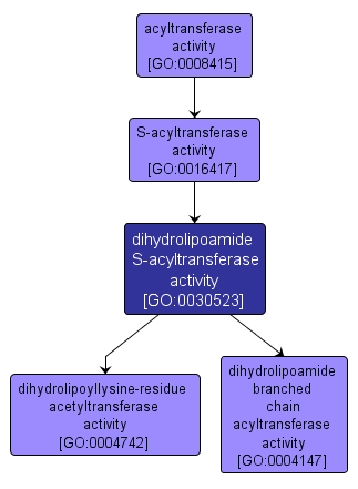 GO:0030523 - dihydrolipoamide S-acyltransferase activity (interactive image map)