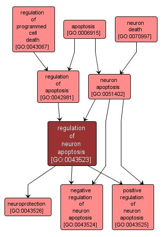 GO:0043523 - regulation of neuron apoptosis (interactive image map)