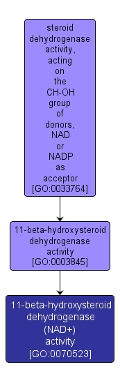 GO:0070523 - 11-beta-hydroxysteroid dehydrogenase (NAD+) activity (interactive image map)
