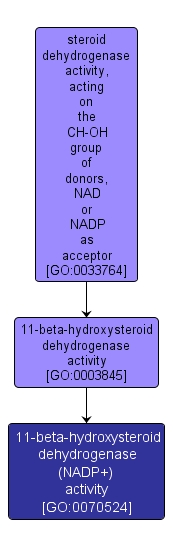 GO:0070524 - 11-beta-hydroxysteroid dehydrogenase (NADP+) activity (interactive image map)