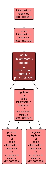 GO:0002525 - acute inflammatory response to non-antigenic stimulus (interactive image map)