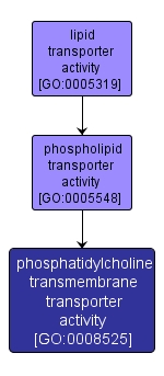 GO:0008525 - phosphatidylcholine transmembrane transporter activity (interactive image map)