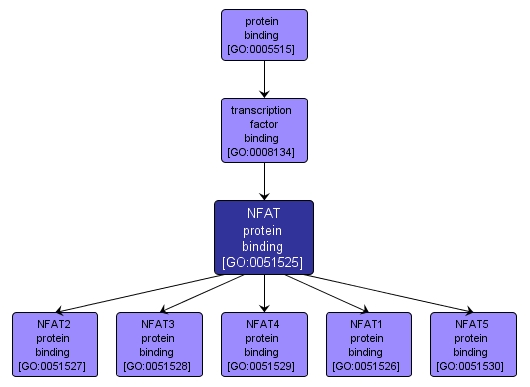 GO:0051525 - NFAT protein binding (interactive image map)