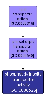 GO:0008526 - phosphatidylinositol transporter activity (interactive image map)