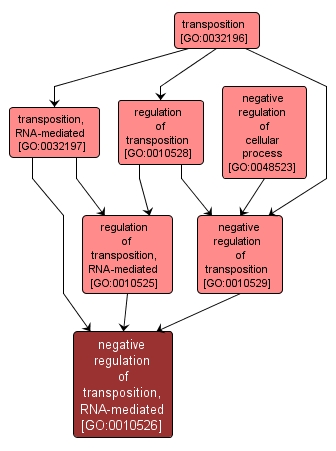 GO:0010526 - negative regulation of transposition, RNA-mediated (interactive image map)