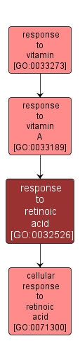 GO:0032526 - response to retinoic acid (interactive image map)
