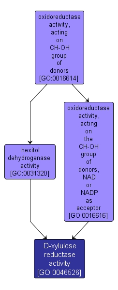 GO:0046526 - D-xylulose reductase activity (interactive image map)