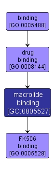 GO:0005527 - macrolide binding (interactive image map)