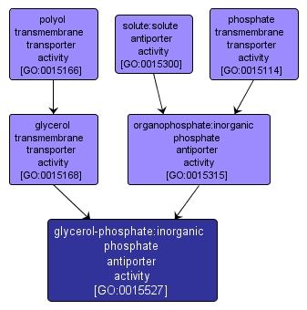 GO:0015527 - glycerol-phosphate:inorganic phosphate antiporter activity (interactive image map)