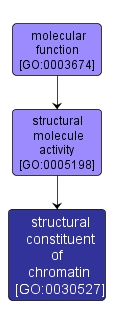 GO:0030527 - structural constituent of chromatin (interactive image map)