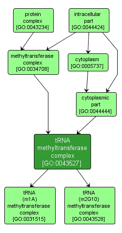 GO:0043527 - tRNA methyltransferase complex (interactive image map)