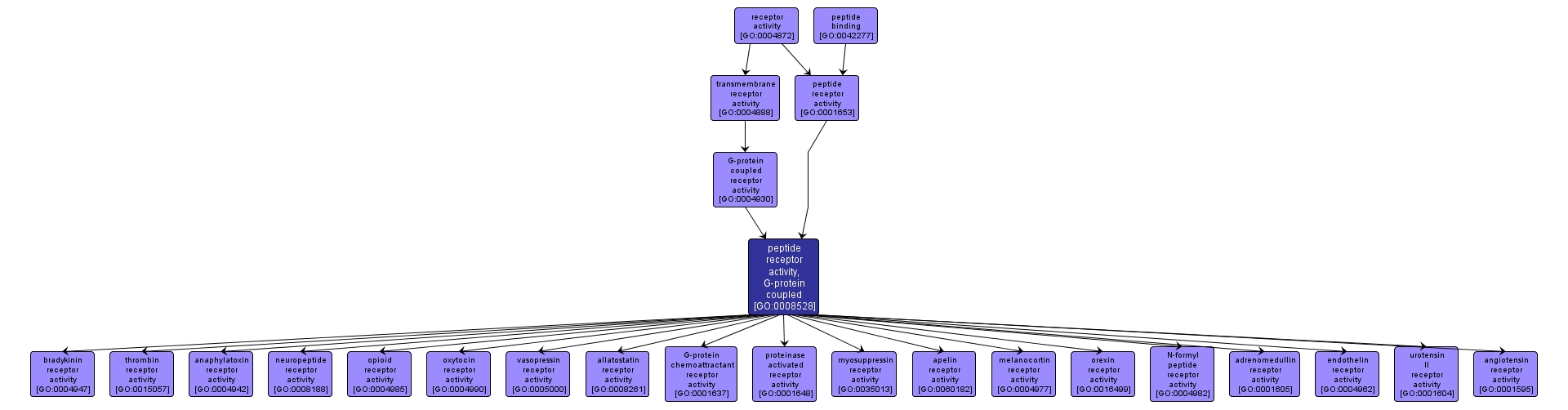 GO:0008528 - peptide receptor activity, G-protein coupled (interactive image map)