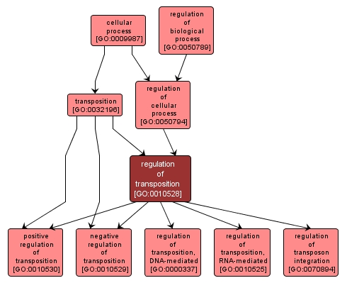 GO:0010528 - regulation of transposition (interactive image map)