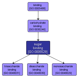 GO:0005529 - sugar binding (interactive image map)