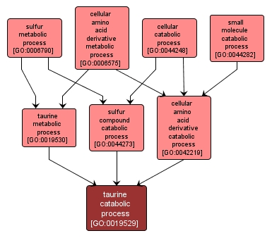 GO:0019529 - taurine catabolic process (interactive image map)