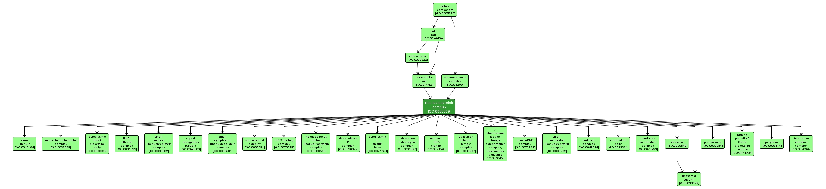 GO:0030529 - ribonucleoprotein complex (interactive image map)