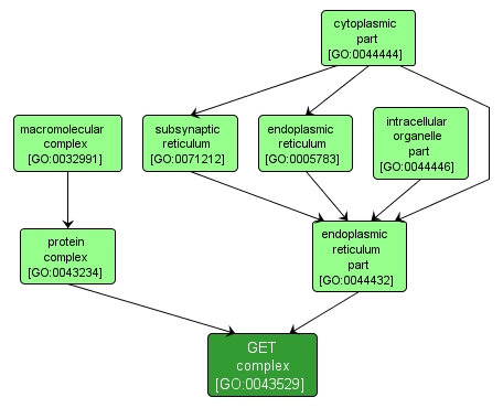 GO:0043529 - GET complex (interactive image map)